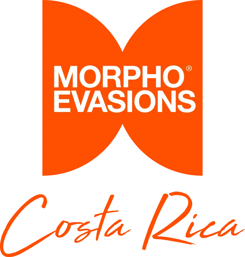Logo-Morpho-Evasions