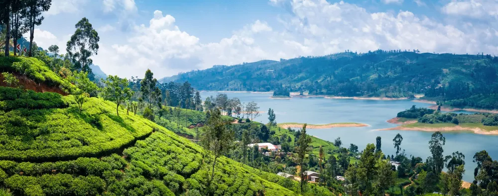 Escapade au Sri Lanka